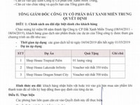 Tặng ngay cây vàng khi mua shophouse gần cocobay đà nẵng Tặng ngay cây vàng khi mua shophouse gần cocobay đà nẵng
