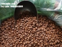 Cà phê hạt nguyên chất Arabica, Đặc sản cà phê Cầu Đất - bán giá sỉ Cà phê hạt nguyên chất Arabica, Đặc sản cà phê Cầu Đất - bán giá sỉ