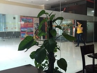 Bán nhà 2 tầng mặt tiền Bắc Sơn-gần chợ Hòa An-Cẩm Lệ Bán nhà 2 tầng mặt tiền Bắc Sơn-gần chợ Hòa An-Cẩm Lệ