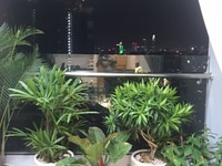 Danh sách căn hộ và officetel khách gửi cho thuê Charmington Quận 10, Danh sách căn hộ và officetel khách gửi cho thuê Charmington Quận 10,