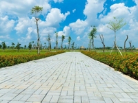 đất liền kề dự án Vingroup, Him Lam shr 250m2 1,2ty đất liền kề dự án Vingroup, Him Lam shr 250m2 1,2ty