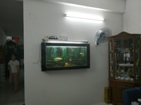 Nhanh!!! Bán gấp căn hộ CT12B Kim Văn Kim Lũ – 65m2 – 1 tỷ Nhanh!!! Bán gấp căn hộ CT12B Kim Văn Kim Lũ – 65m2 – 1 tỷ