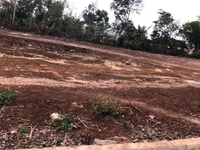 Cần bán đất Y Moan rẻ Trái, 5*29m, 690 triệu, thổ cư Cần bán đất Y Moan rẻ Trái, 5*29m, 690 triệu, thổ cư