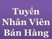 Siêu thị mini cần tuyển gấp Nhân viên nam nữ bán hàng hoặc sinh viên b Siêu thị mini cần tuyển gấp Nhân viên nam nữ bán hàng hoặc sinh viên b