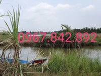 Bán đất chính chủ Mặt tiền rạch Gần khu dân cư Sổ hồng riêng Bán đất chính chủ Mặt tiền rạch Gần khu dân cư Sổ hồng riêng