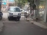 Cho thuê mặt bằng Đường Láng , Phường Láng hạ dt 600m2 Cho thuê mặt bằng Đường Láng , Phường Láng hạ dt 600m2