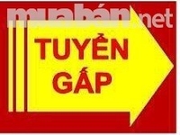 Cần bổ sung gấp nhân sự làm tại văn phòng Cần bổ sung gấp nhân sự làm tại văn phòng