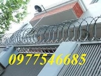 Cung cấp dây thép gai hình dao, dây thép gai mạ kẽm Cung cấp dây thép gai hình dao, dây thép gai mạ kẽm