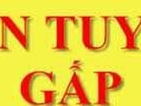 Tuyển Giao nhận hàng hoá từ công ty đến khách hàng Tuyển Giao nhận hàng hoá từ công ty đến khách hàng