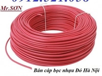 Dây cáp bọc nhựa màu đỏ,màu đen phi 4 ly,6 ly,8 ly,tăng đơ,mã ní inox. Dây cáp bọc nhựa màu đỏ,màu đen phi 4 ly,6 ly,8 ly,tăng đơ,mã ní inox.