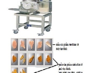 Máy làm miếng chả cá, máy ép miếng chả cá tự động, máy định hình miéng Máy làm miếng chả cá, máy ép miếng chả cá tự động, máy định hình miéng