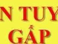 Tuyển 02 văn phòng hỗ trợ tư vấn sản phẩm làm tại văn phòng Tuyển 02 văn phòng hỗ trợ tư vấn sản phẩm làm tại văn phòng