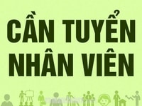Cần tuyển nhân viên văn phòng cho Chi nhánh Cần tuyển nhân viên văn phòng cho Chi nhánh