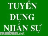 Cần tuyển 02 nhân viên trung cấp Y dược làm việc tại Công ty Cần tuyển 02 nhân viên trung cấp Y dược làm việc tại Công ty