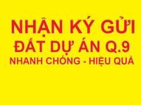 Chuyên dự án Báo Kinh Tế , Sở Văn Hóa Thông Tin đường Bưng Ông Thoàn Chuyên dự án Báo Kinh Tế , Sở Văn Hóa Thông Tin đường Bưng Ông Thoàn