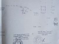 Bán đất Cần Giờ Tam Thôn Hiệp Mặt tiền Nguyễn Công Bao 10.5 tỷ TL Bán đất Cần Giờ Tam Thôn Hiệp Mặt tiền Nguyễn Công Bao 10.5 tỷ TL