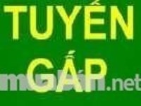Tuyển gấp nam nữ sắp xếp các loại hàng trong kho hàng Tuyển gấp nam nữ sắp xếp các loại hàng trong kho hàng