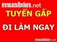 Tuyển Nam nữ lao động phổ thông Độ tuổi 18 - 50 tuổi Tuyển Nam nữ lao động phổ thông Độ tuổi 18 - 50 tuổi