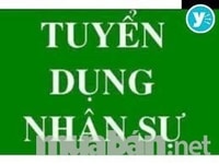 Cần tuyển gấp nam nữ nhân viên trợ lý nhân sự Cần tuyển gấp nam nữ nhân viên trợ lý nhân sự