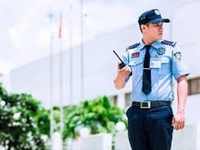 Tuyển nhân viên bảo kiểm soát nhân viên và trực phòng điều kiển camera Tuyển nhân viên bảo kiểm soát nhân viên và trực phòng điều kiển camera