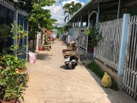 Cần bán nhà cấp 4 ở huyện châu thành bến tre Cần bán nhà cấp 4 ở huyện châu thành bến tre