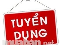 Cần tuyển gấp nhân viên kế toán bán hàng Cần tuyển gấp nhân viên kế toán bán hàng