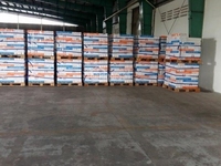 Cho thuê kho hàng 1.200m2 Phường 16, Quận 8. Giá 100.000đ/m2. Cho thuê kho hàng 1.200m2 Phường 16, Quận 8. Giá 100.000đ/m2.