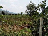Gia đình không có người làm cần bán gấp.bán trong ngày. Gia đình không có người làm cần bán gấp.bán trong ngày.