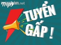 Cần gấp 03 nhân viên bán hàng cho cửa hàng ngũ cốc ...... .......... Cần gấp 03 nhân viên bán hàng cho cửa hàng ngũ cốc ...... ..........