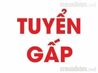 Công ty cần tuyển nhân viên tư vấn chăm sóc khách hàng Công ty cần tuyển nhân viên tư vấn chăm sóc khách hàng