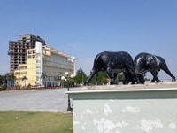 Bán 02 lô đất hướng Đông Nam khu Du Lịch đoàn 295 Đồ Sơn Hải Phòng Bán 02 lô đất hướng Đông Nam khu Du Lịch đoàn 295 Đồ Sơn Hải Phòng