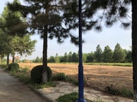 Bán lô đất nền biệt thự 400m khu sinh thái cao cấp đan phượng- Hà Nội Bán lô đất nền biệt thự 400m khu sinh thái cao cấp đan phượng- Hà Nội