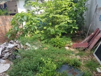 Bán đất thổ cư hẻm của đường số 8 P Tăng Nhơn Phú B Bán đất thổ cư hẻm của đường số 8 P Tăng Nhơn Phú B