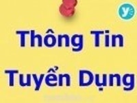 Tuyển gấp nam nữ nhân viên văn phòng Tuyển gấp nam nữ nhân viên văn phòng