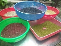 Tăng Vòng 1 Như Ý, KHông Phẩu Thuật Thẩm Mỹ Đau Đớn, Tốn Kém, Tăng Vòng 1 Như Ý, KHông Phẩu Thuật Thẩm Mỹ Đau Đớn, Tốn Kém,