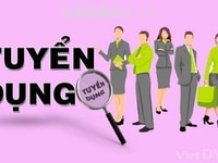 Cần tuyển gấp nhân viên kế toán bán hàng Cần tuyển gấp nhân viên kế toán bán hàng