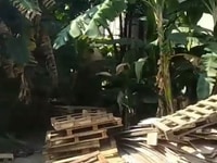 Đất hẻm huỳnh thị mài, hóc môn, DT: 4x18m. Giá chốt: 700tr Đất hẻm huỳnh thị mài, hóc môn, DT: 4x18m. Giá chốt: 700tr