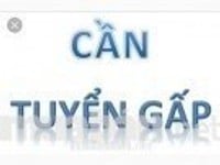 (Gấp) tuyến viên marketting ko cần bằng cấp (Gấp) tuyến viên marketting ko cần bằng cấp