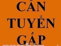 Cần tuyển gấp nhân sự làm việc trực tiếp tại văn phòng hành chính Cần tuyển gấp nhân sự làm việc trực tiếp tại văn phòng hành chính