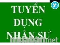 Do mở rộng chi nhánh công ty cần tuyển nhân viên văn phòng Do mở rộng chi nhánh công ty cần tuyển nhân viên văn phòng