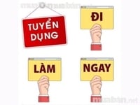 Cần GẤP 02 nhân viên văn phòng đi làm ngay Cần GẤP 02 nhân viên văn phòng đi làm ngay