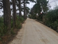 BÁN 2.469m2 đất nông nghiệp tại đường Lâm Văn Thạnh- P11 - TP Đà Lạt g BÁN 2.469m2 đất nông nghiệp tại đường Lâm Văn Thạnh- P11 - TP Đà Lạt g