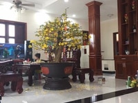 Bán Biệt thự Thuận Giao,Thuận An,Bình Dương.660m.Gần Aeon Mall.Giá rẻ. Bán Biệt thự Thuận Giao,Thuận An,Bình Dương.660m.Gần Aeon Mall.Giá rẻ.