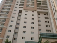 Căn Hộ Sacomreal - 584 Q.Tần Phú Dt : 105m2 3PN, Cho Thuê Giá : 8.5 tr Căn Hộ Sacomreal - 584 Q.Tần Phú Dt : 105m2 3PN, Cho Thuê Giá : 8.5 tr