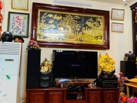 Nhà đẹp lung linh Trần Thái Tông 43m 5 tầng MT 4.5m Giá 3.3 tỷ Nhà đẹp lung linh Trần Thái Tông 43m 5 tầng MT 4.5m Giá 3.3 tỷ