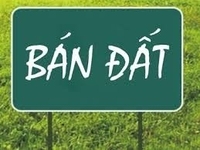 Cần tiền bán gấp lô đất 81m2 tại khu Đồng Quán,Võ Cường, TP.Bắc Ninh Cần tiền bán gấp lô đất 81m2 tại khu Đồng Quán,Võ Cường, TP.Bắc Ninh