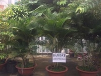 Bán Nhà đường 46 Thảo Điền HB150 Bán Nhà đường 46 Thảo Điền HB150