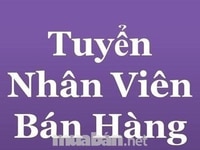 Công ty cần tuyển gấp nhân viên văn phòng hành chính nhân sự Công ty cần tuyển gấp nhân viên văn phòng hành chính nhân sự