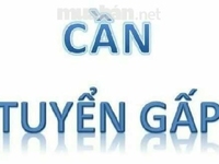 Tuyển 02 nhân viên thu ngân tại quầy Tuyển 02 nhân viên thu ngân tại quầy