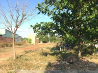 Tôi chuyển về quê ở xa Bình Dương nên muốn bán lô đất 300m2 dưới đây Tôi chuyển về quê ở xa Bình Dương nên muốn bán lô đất 300m2 dưới đây